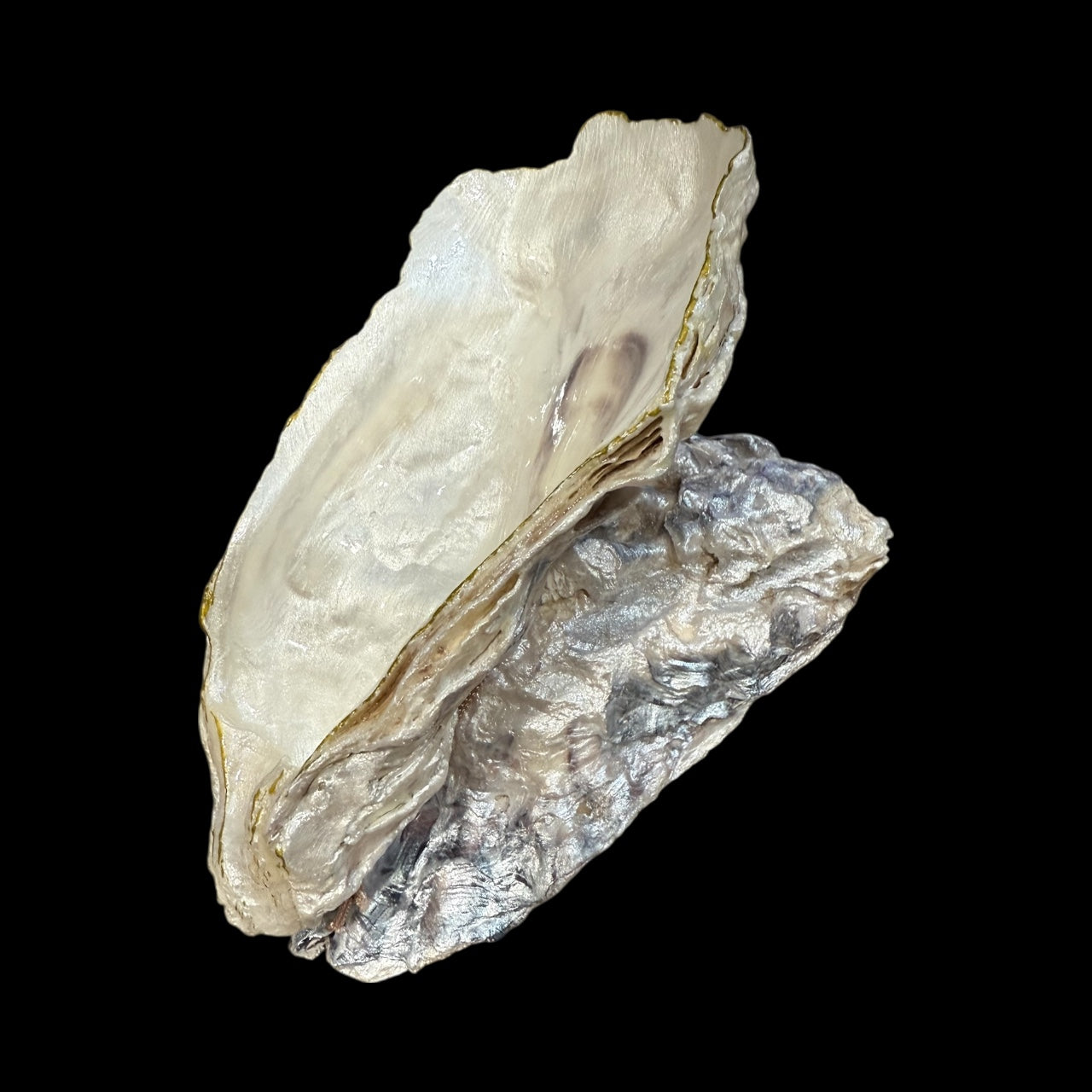 Oyster Shell Trinket Dish Home Decor Gift