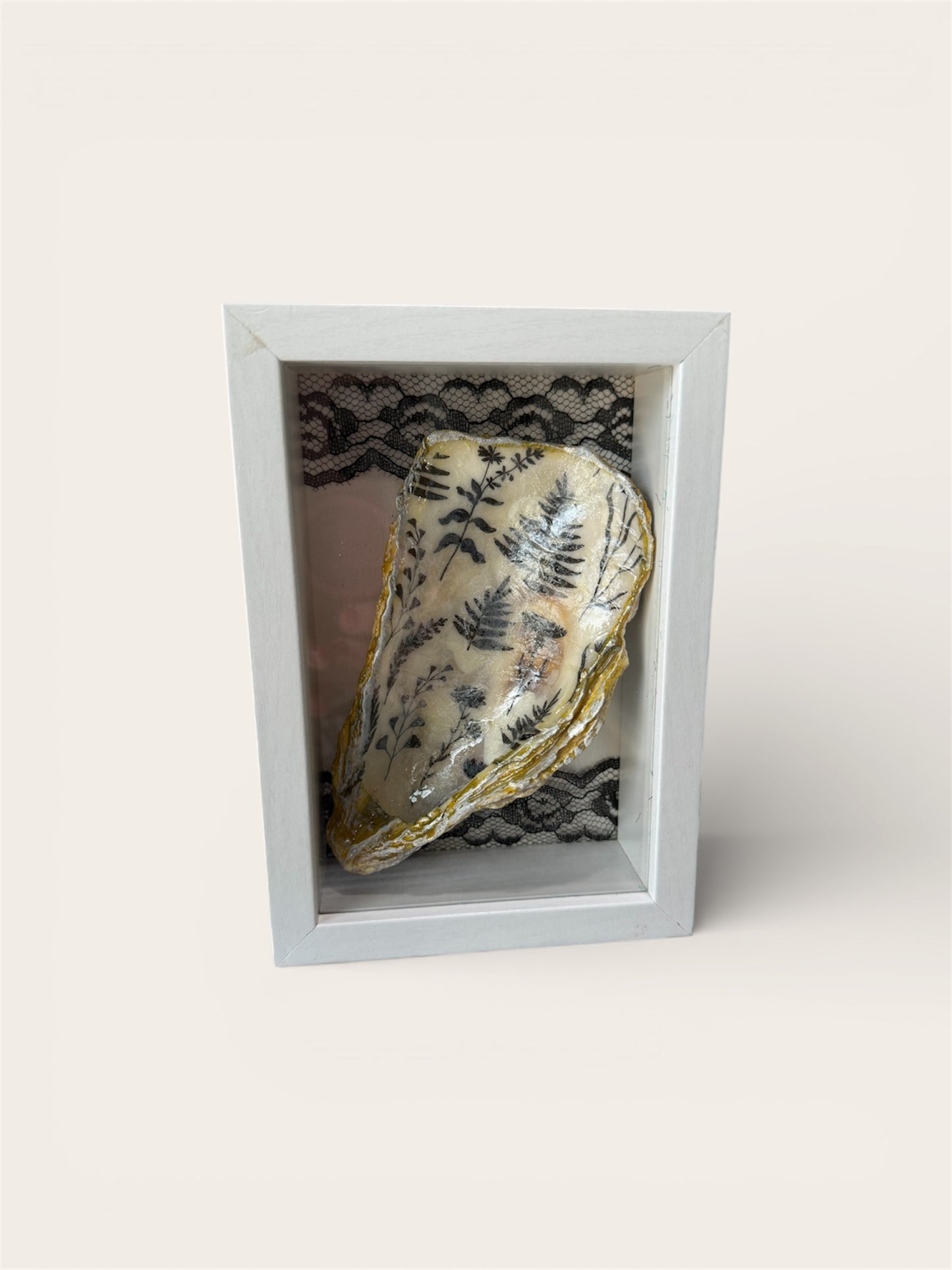 Handcrafted Oyster Shell / Seashell Shadow Box Shelf Decor / Black/White Lace / 5”x7”