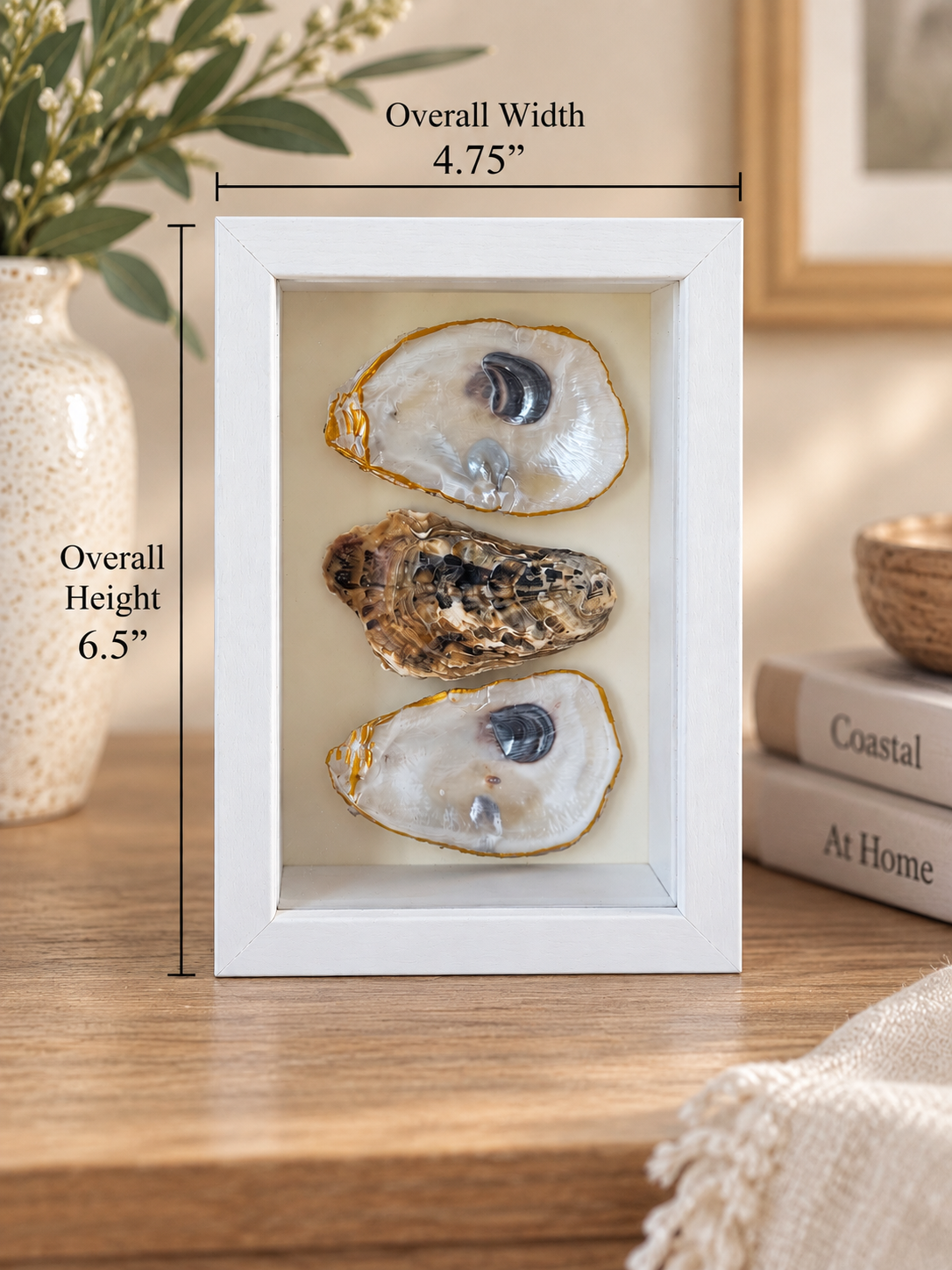 Pearl & Gold Oyster Shell Shadowbox