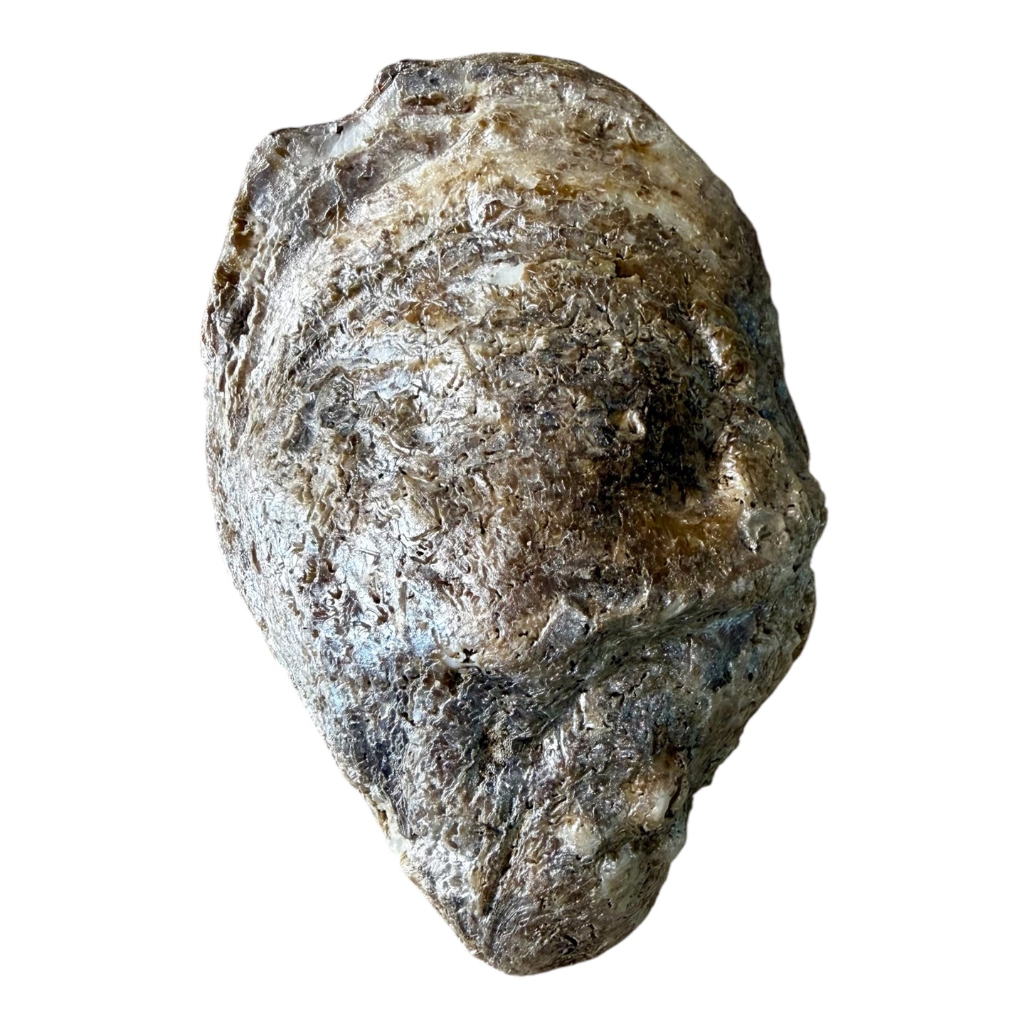 Blue Heron Handcrafted Oyster Shell Dish