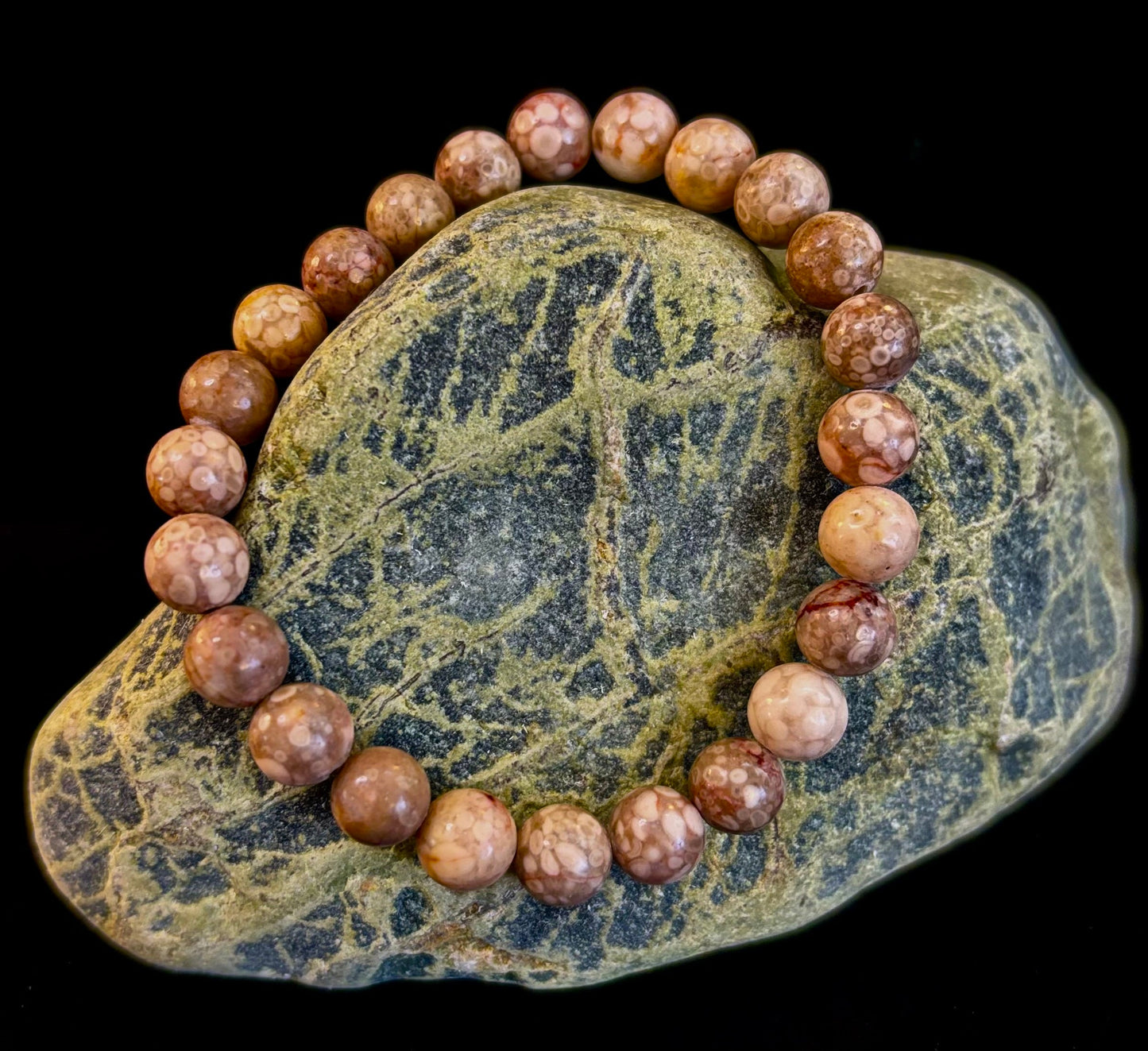 Fossil Coral Bracelet – Natural Grounding Stone for Stability & Calm