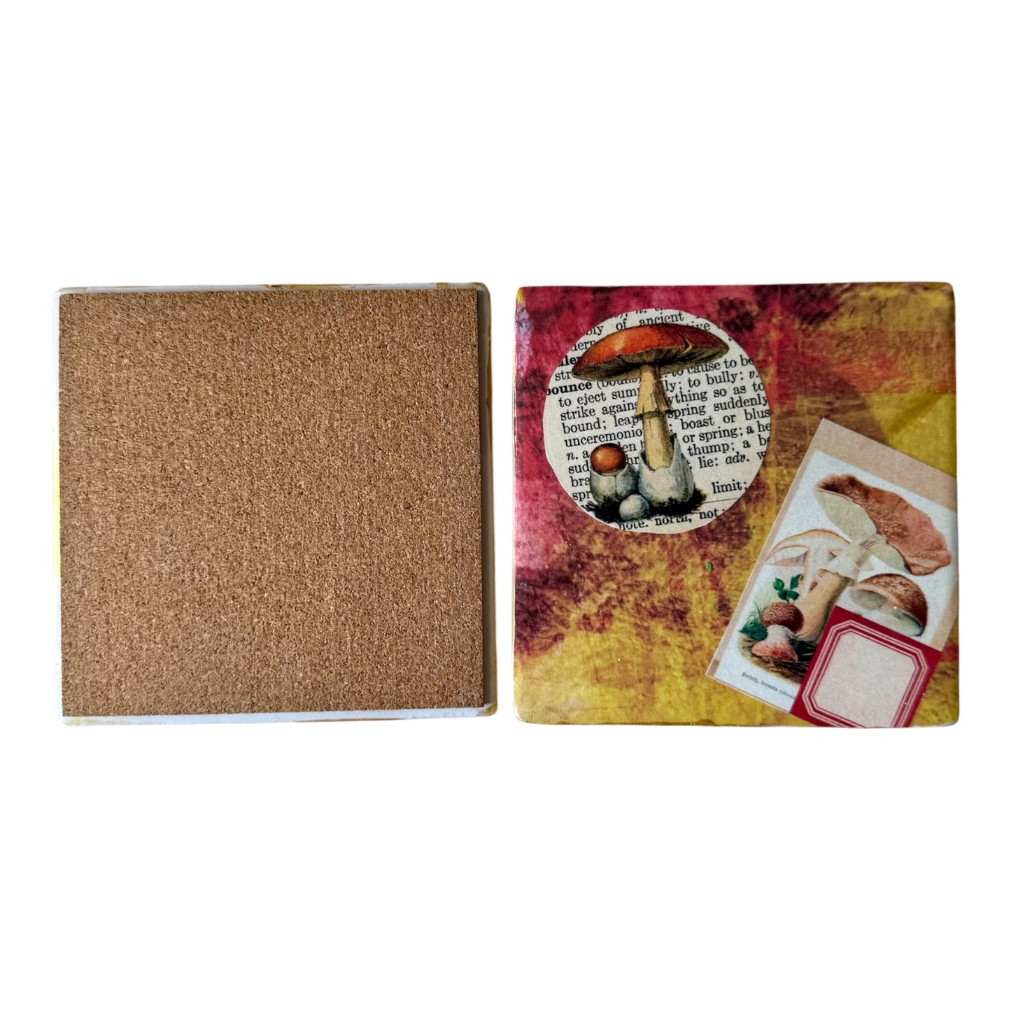 Vintage Mushroom Collage Coaster Set