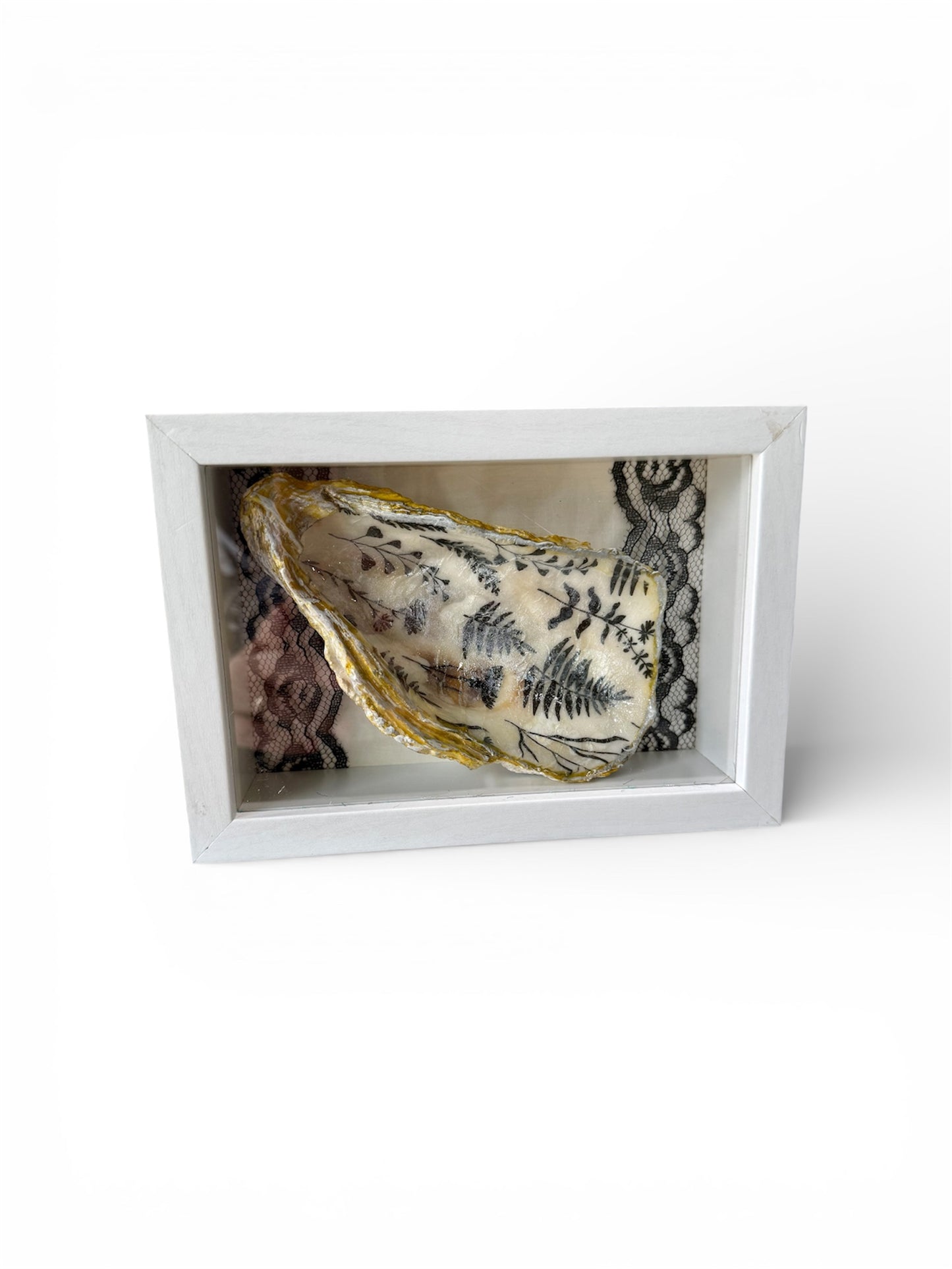 Seashell Shadowbox Shelf Decor - Black/White Lace