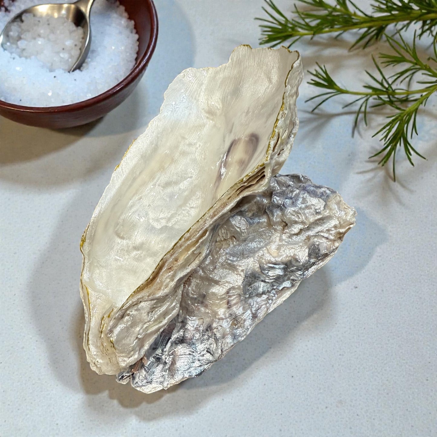 Oyster Shell Trinket Dish Home Decor Gift