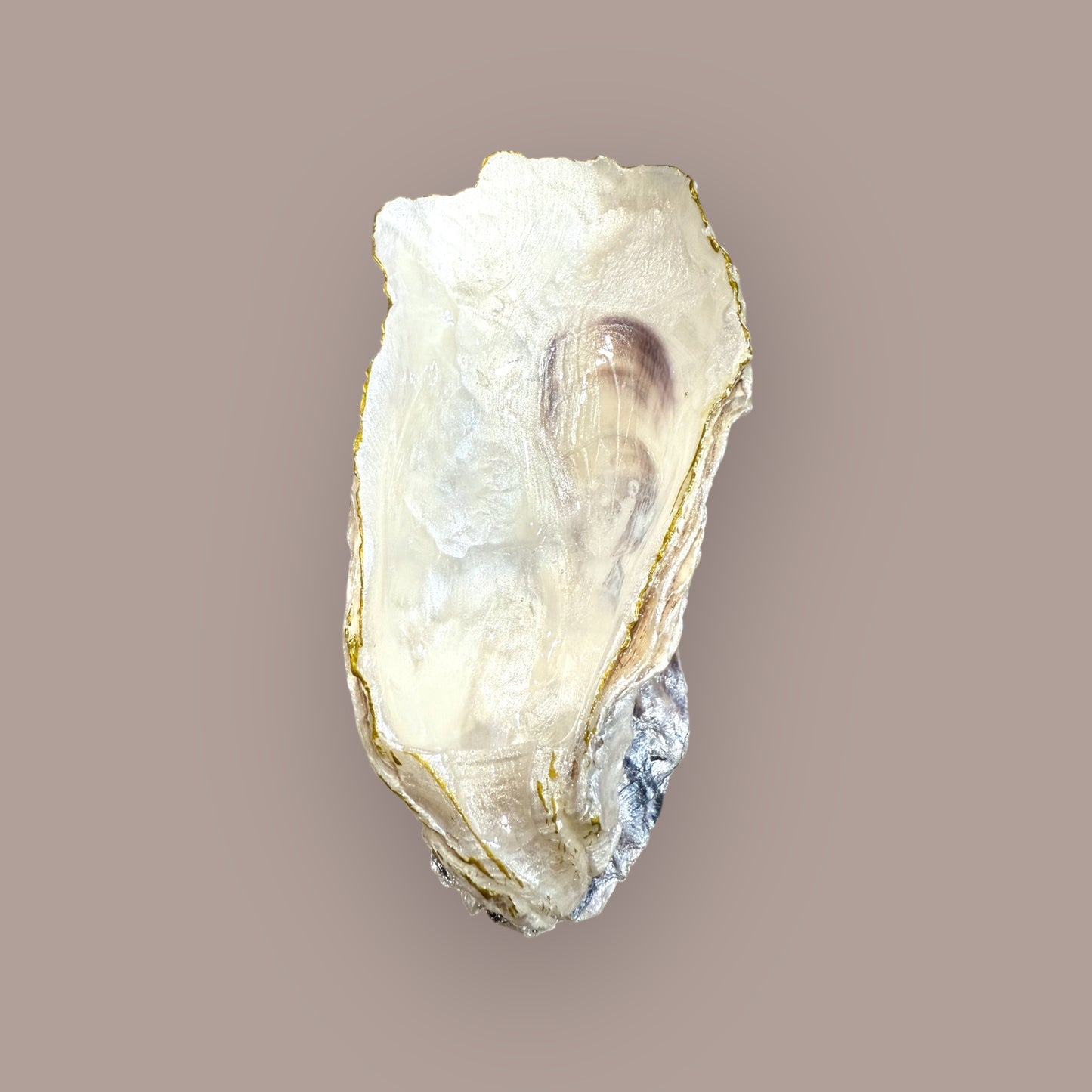 Oyster Shell Trinket Dish Home Decor Gift