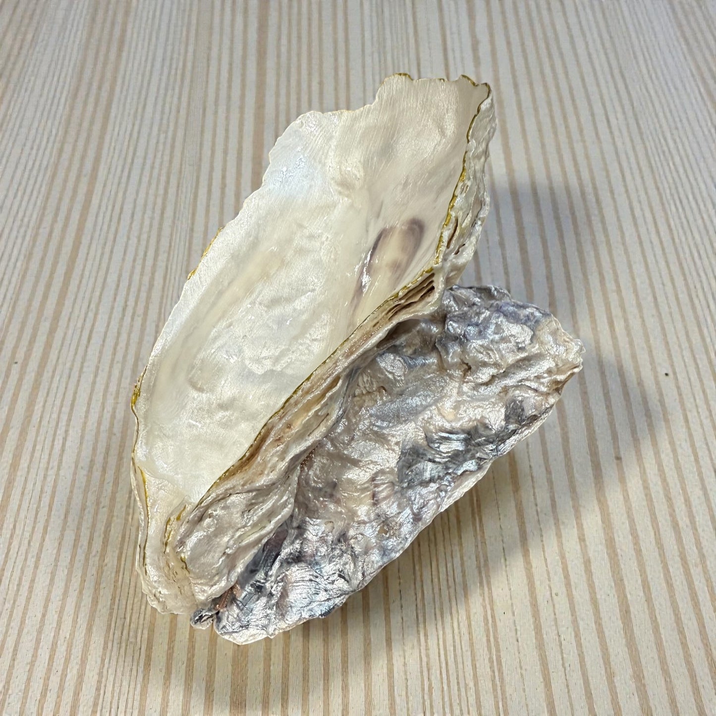 Oyster Shell Trinket Dish Home Decor Gift