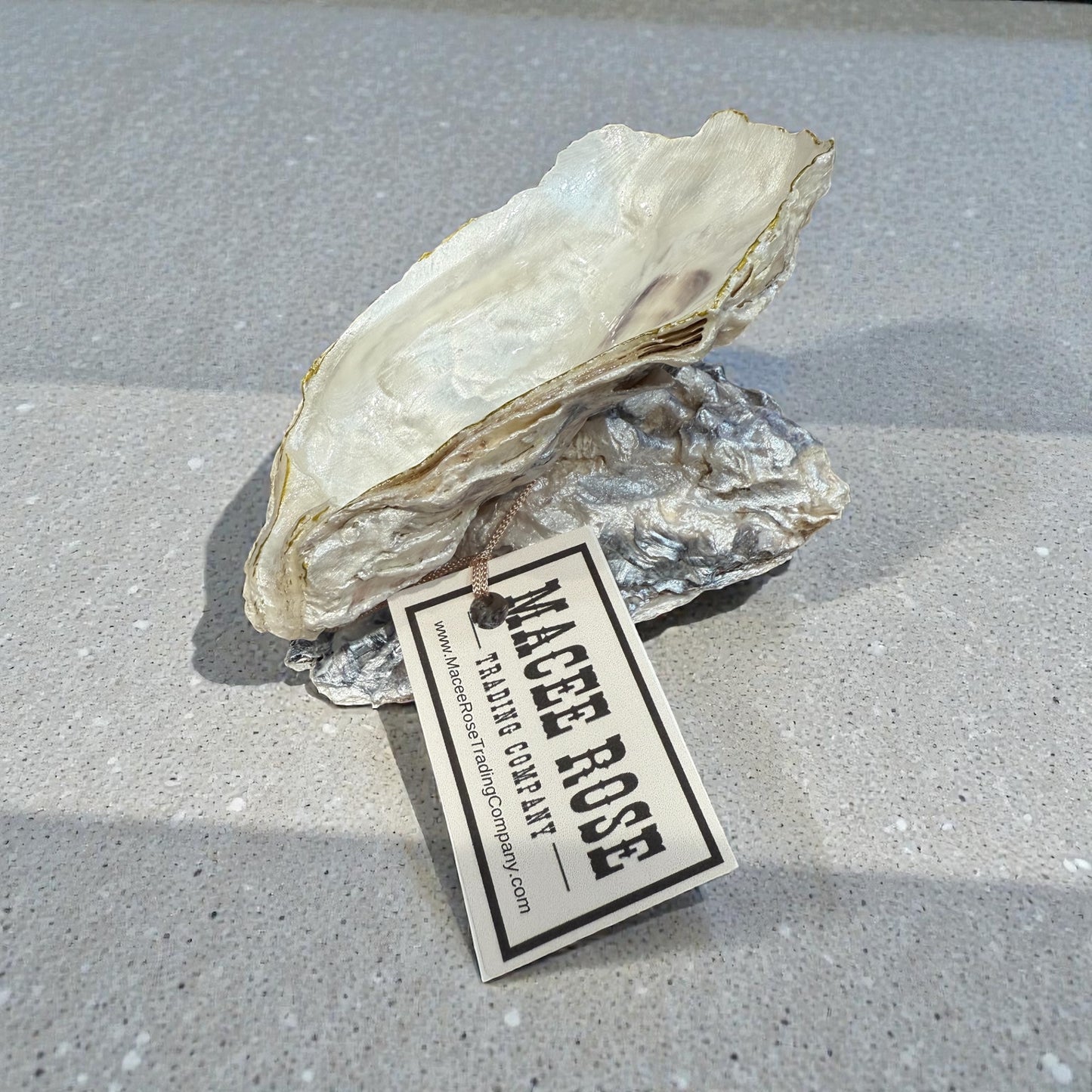Oyster Shell Trinket Dish Home Decor Gift