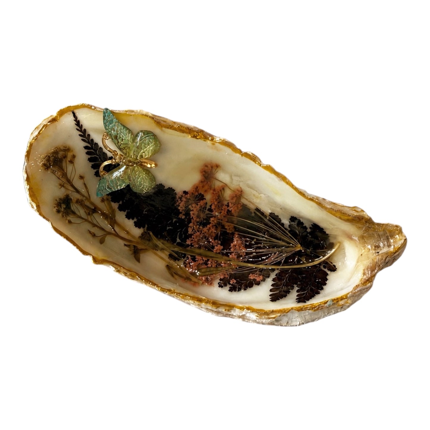 Natural Shell Trinket Dish, Coastal Home Decor - Pressed Botanical