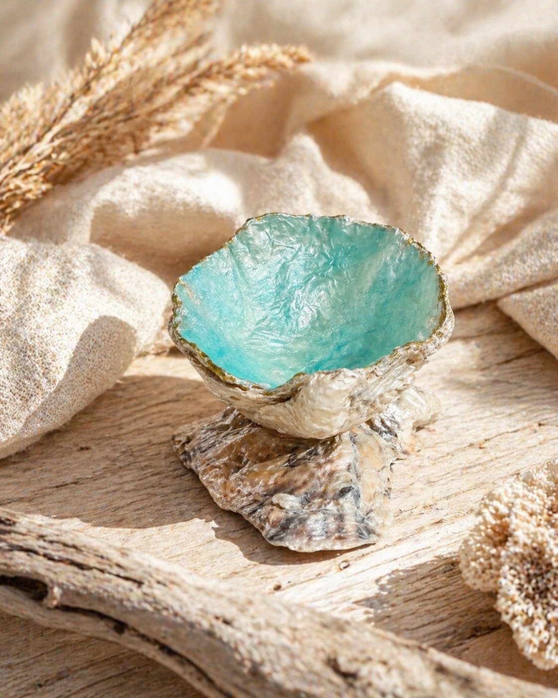 Oyster Shell Trinket Dish Home Decor