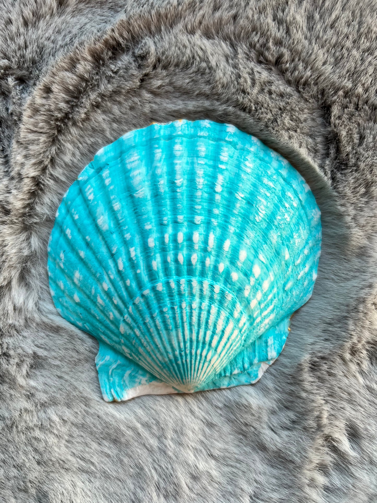 Shell Tricket Dish - Tropical