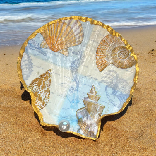 Scallop Shell Trinket Dish Decor - Shells & Seahorse