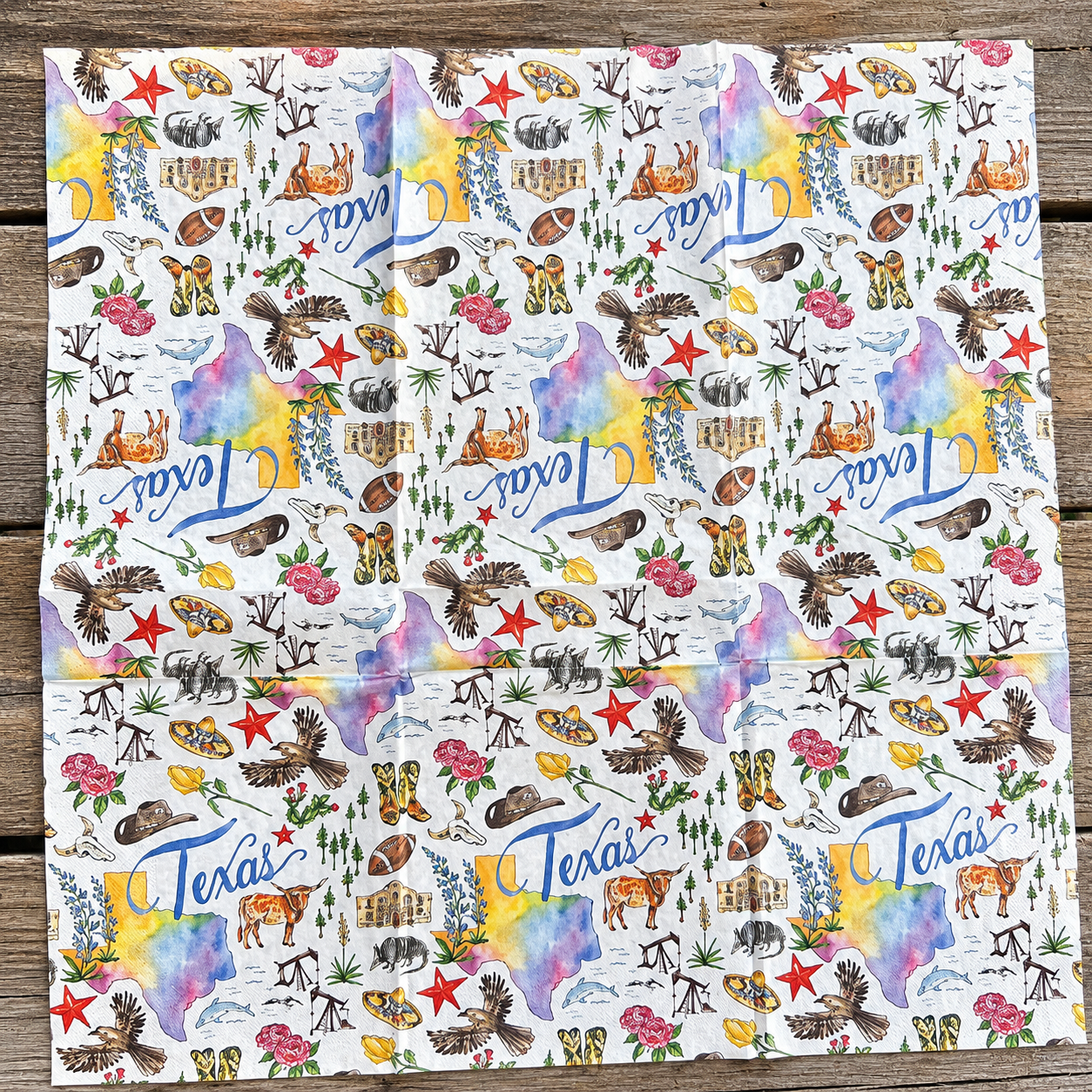 Paper Guest Towels 16 count Texas TX State Collection