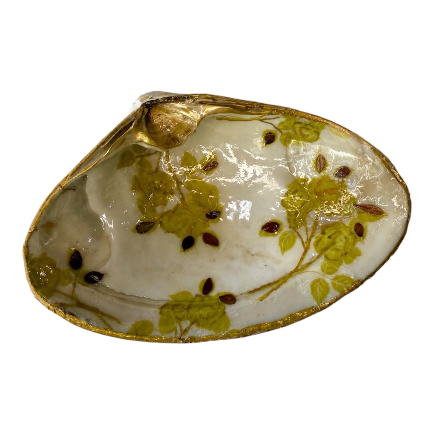 Natural Clam Shell Trinket Dish, Coastal Home Decor - Golden Rose