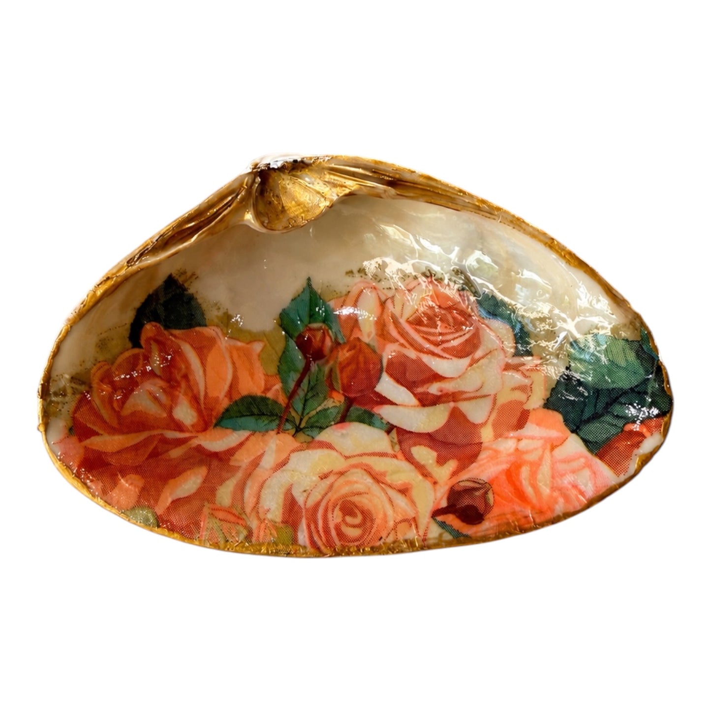 Natural Clam Shell Trinket Dish, Coastal Home Decor - Garden Rose