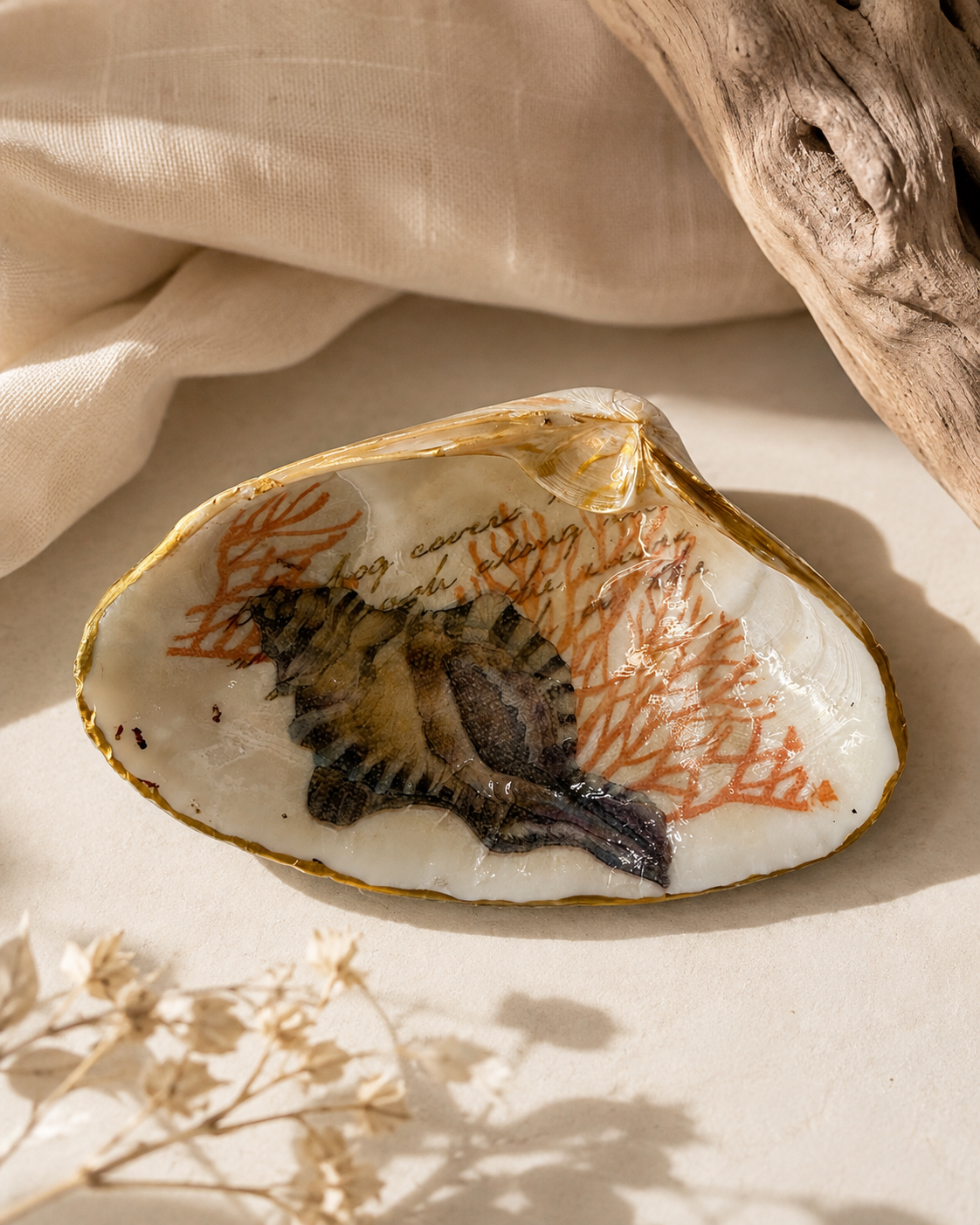 Natural Clam Shell Trinket Dish, Coastal Home Decor - Coral & Conch