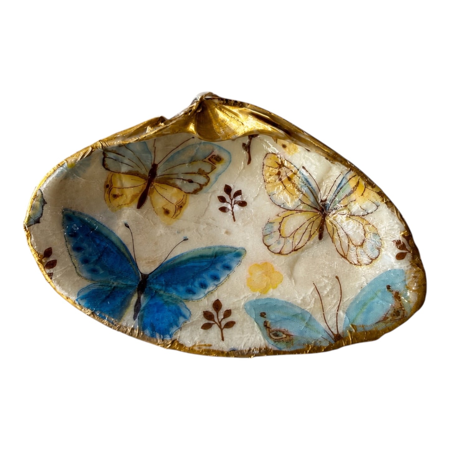 Natural Clam Shell Trinket Dish, Coastal Home Decor - Blue Butterfly Meadow