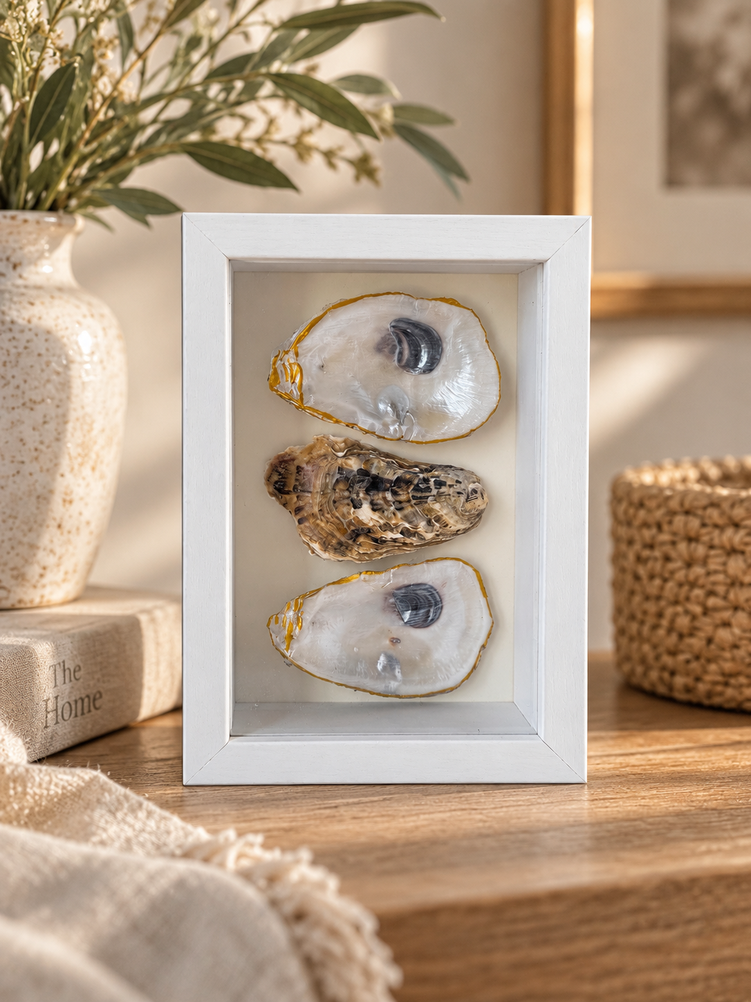 Pearl & Gold Oyster Shell Shadowbox