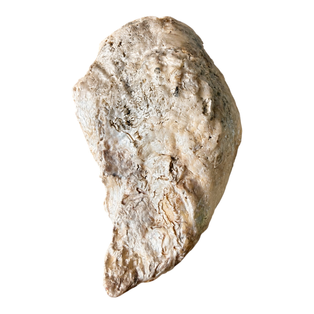 Flamingo in Bloom Handcrafted Oyster Shell Dish