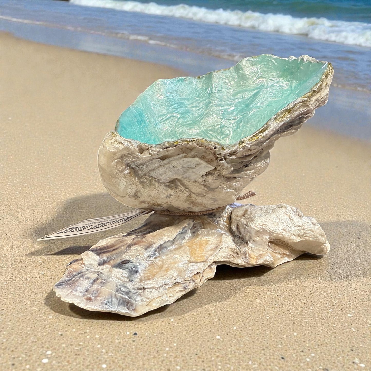 Oyster Shell Trinket Dish Home Decor