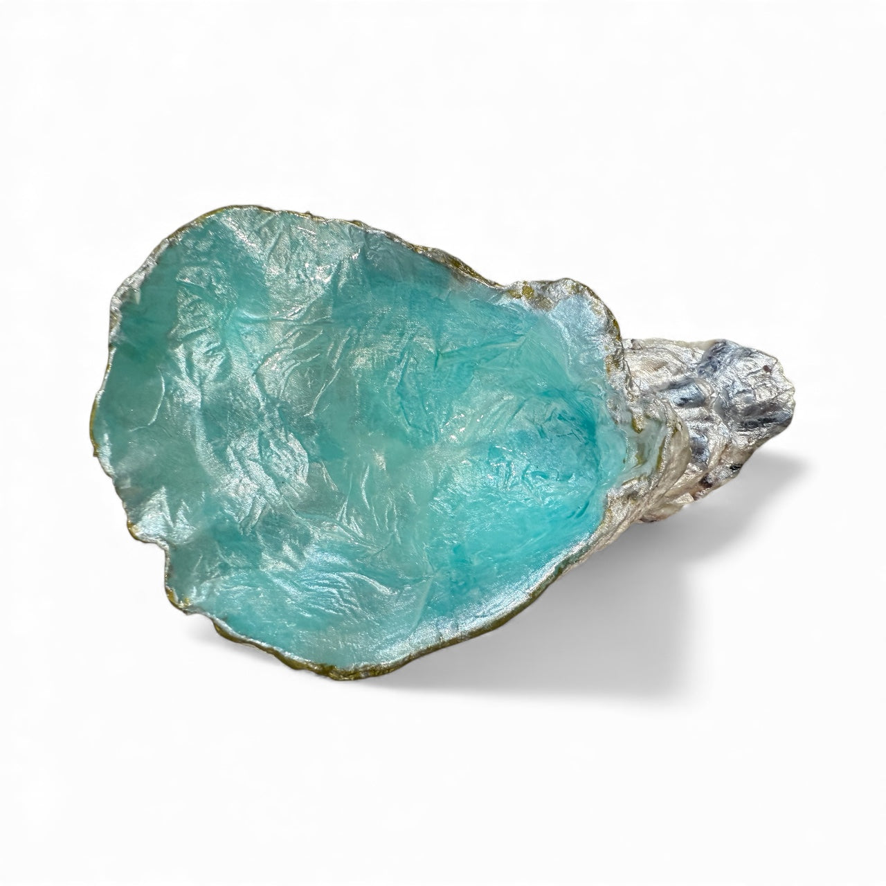 Oyster Shell Trinket Dish Home Decor