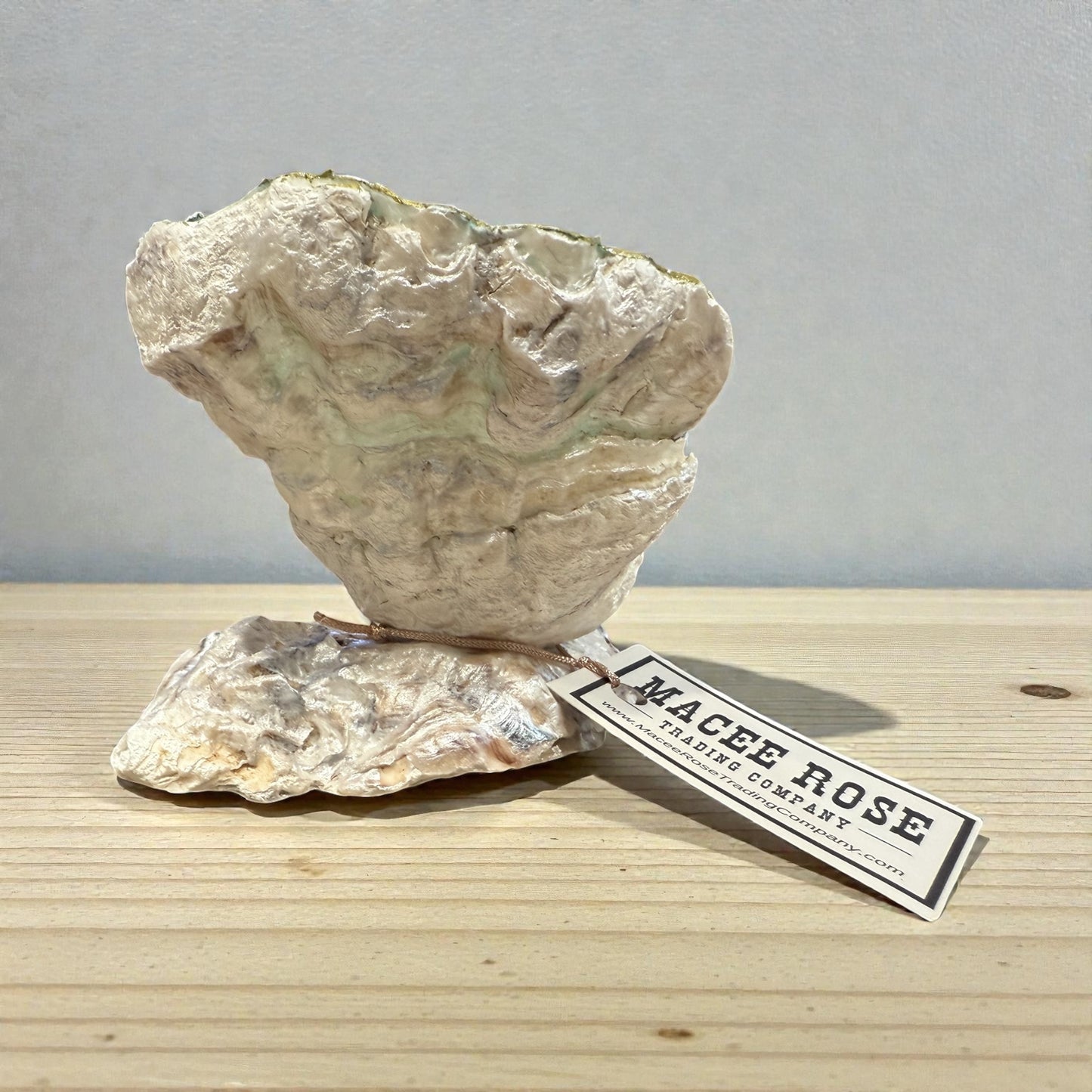 Oyster Shell Trinket Dish Home Decor