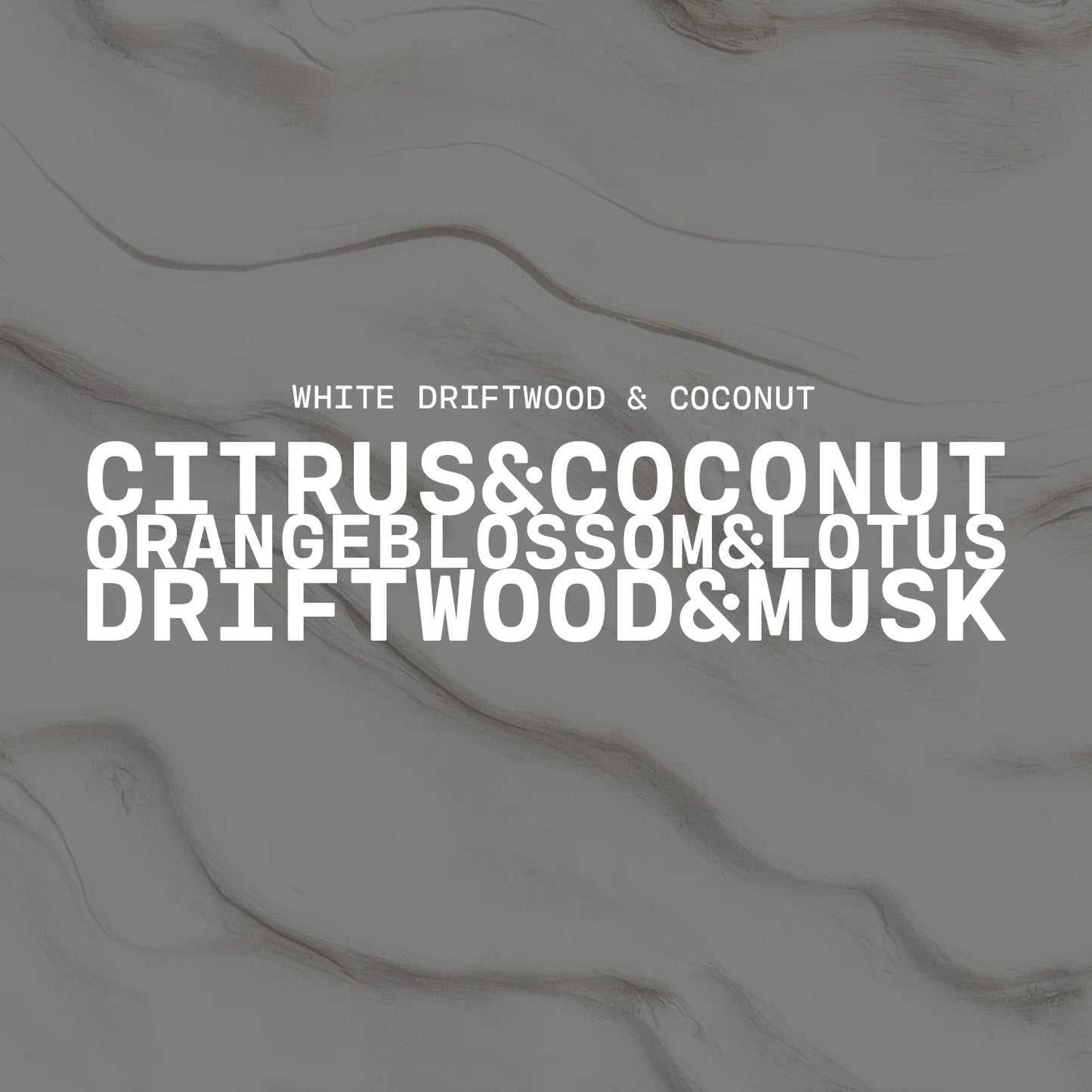 Milkhouse Candle Co. 5oz Cream Jar - White Driftwood and Coconut