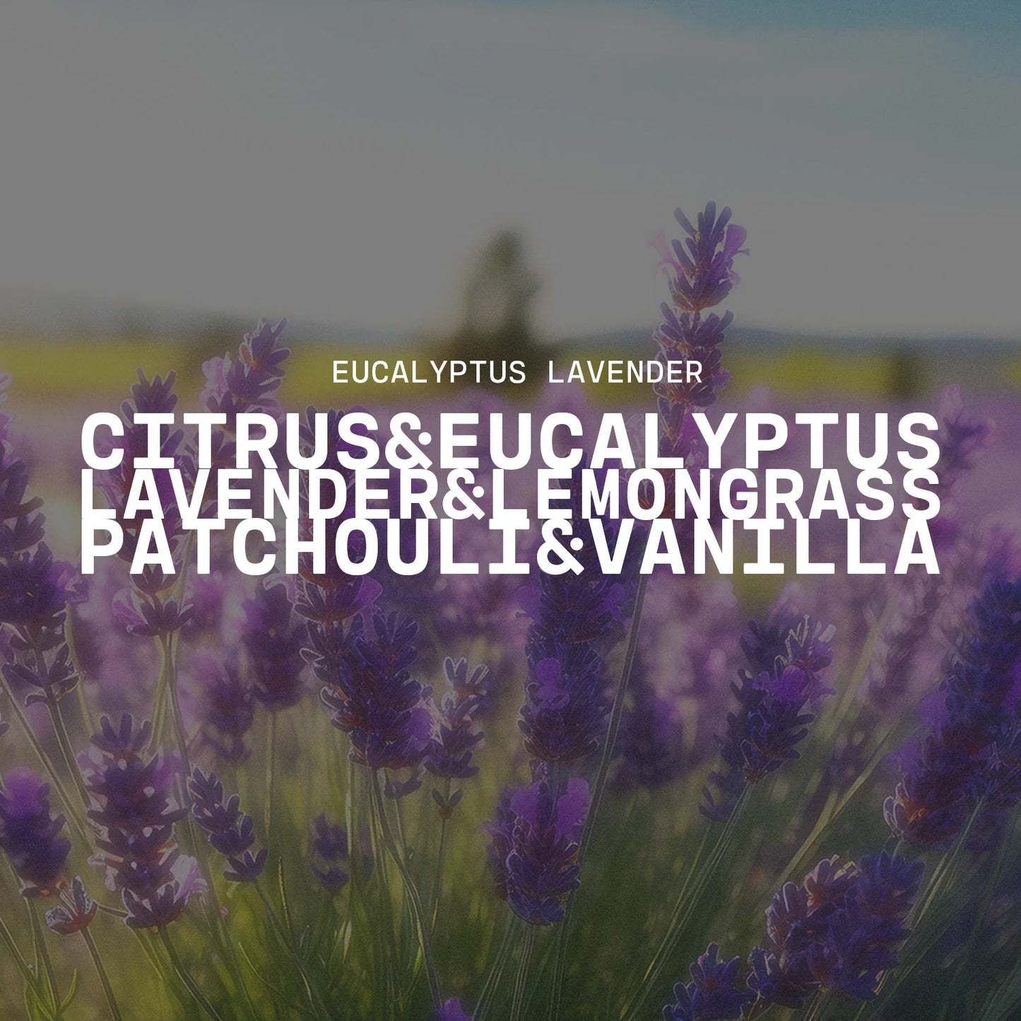 Milkhouse Candle Co. 5 oz Cream Jar - Eucalyptus Lavender