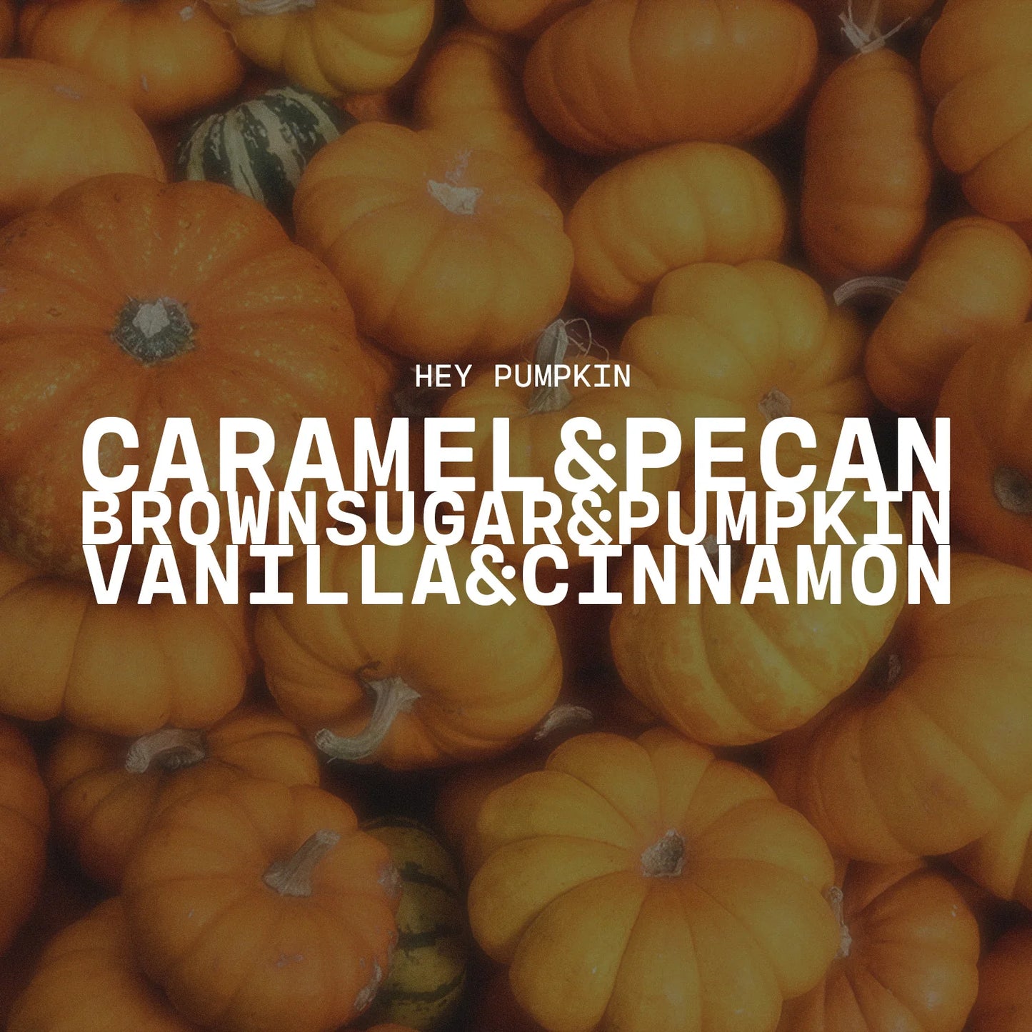 Milkhouse Candle Co. 5oz Cream Jar - Hey, Pumpkin