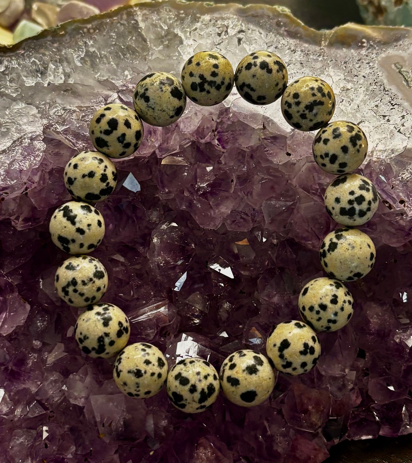 Reiki-Infused Natural Dalmatian Jasper Bracelet for Grounding, Inner Child Joy & Overthinking Relief (8mm, 10mm & 12mm)