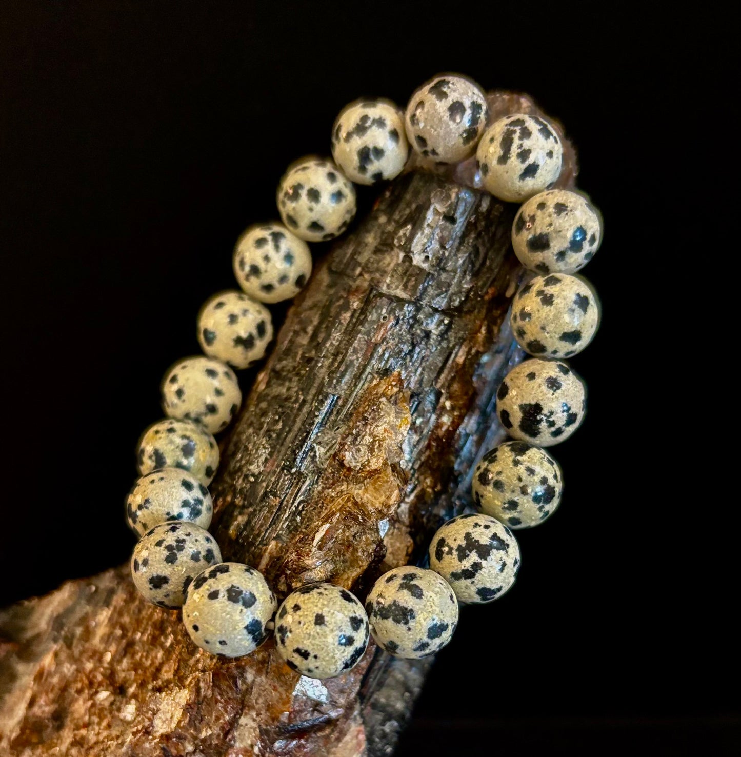 Dalmatian Jasper Gemstone Bracelet for Joy & Grounding | 8mm, 10mm, 12mm Beads