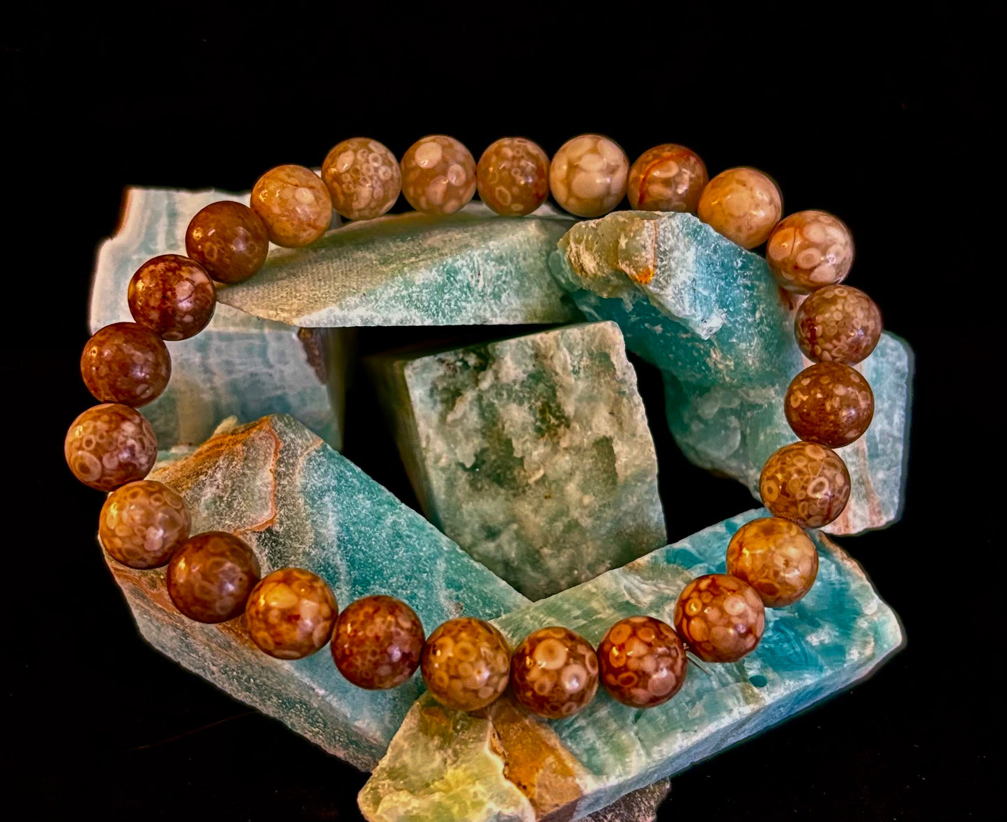 Fossil Coral Bracelet – Natural Grounding Stone for Stability & Calm