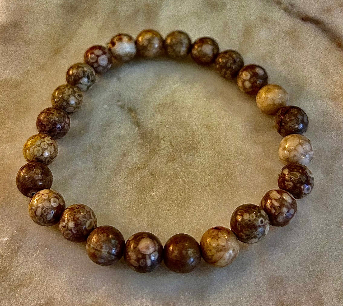 Fossil Coral Bracelet – Natural Grounding Stone for Stability & Calm